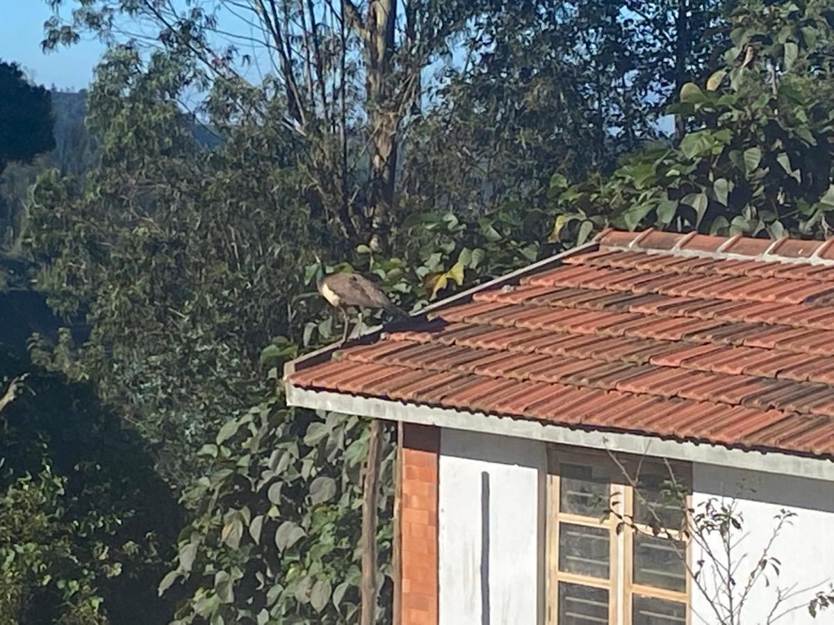 Kanjira House Chalet Ooty
